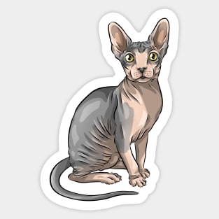 Cute Sphynx Cat Sticker